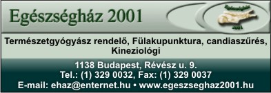 EGÉSZSÉGHÁZ 2001