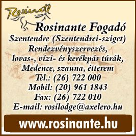 ROSINANTE FOGADÓ