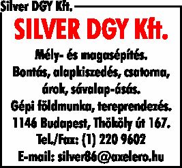 SILVER DGY KFT.